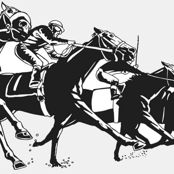 AR EQUEST 13 RC Thumbnail