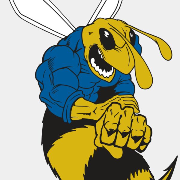 AR5 BEE 29 RQC Thumbnail