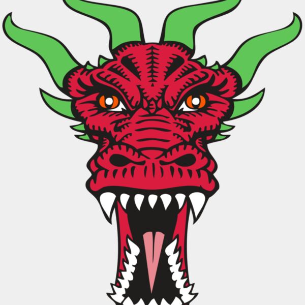 BAW DRAGON 09 RC Thumbnail