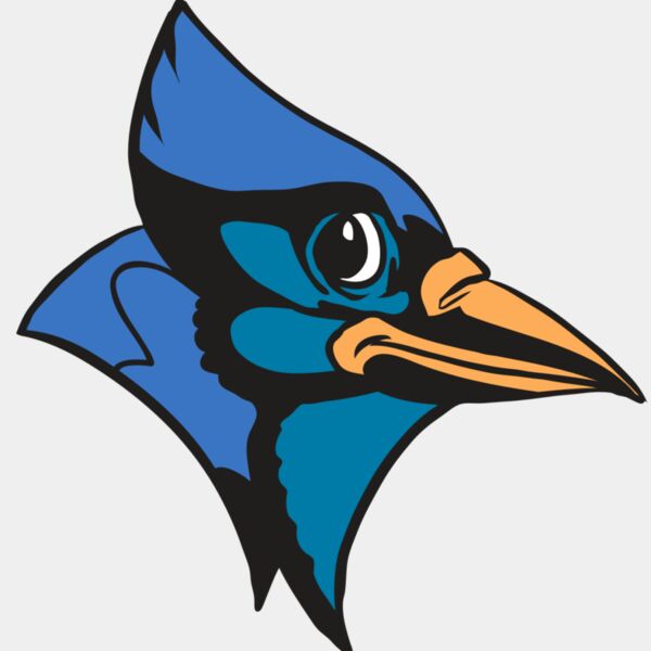 AR31 BLUEJAY 04 RQC Thumbnail