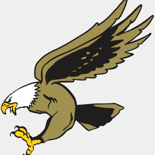 AR EAGLE 23 RC Thumbnail