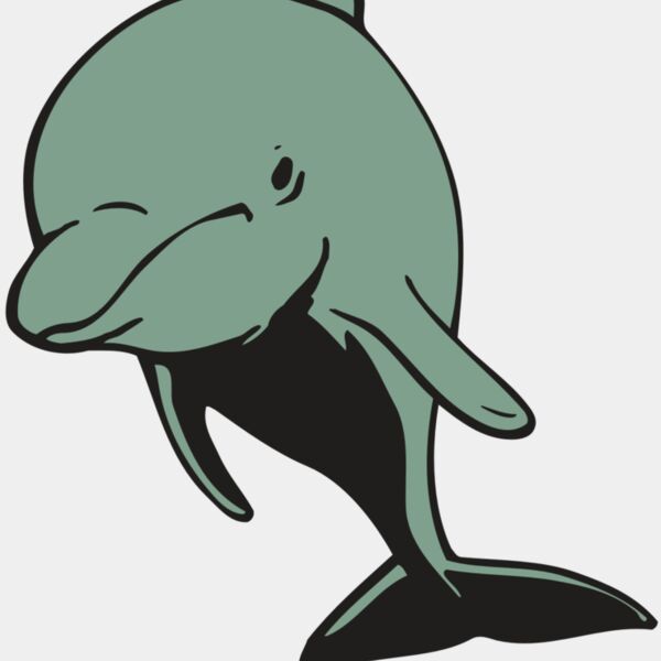 AR DOLPIN 11 RC Thumbnail