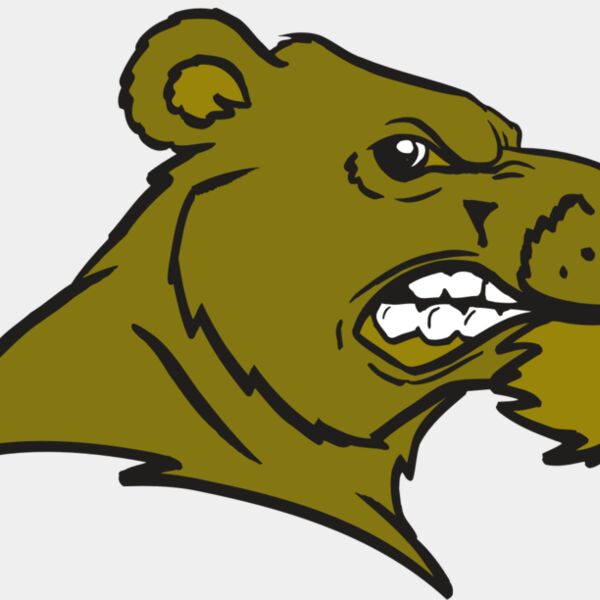 AR BEAR 11 RC Thumbnail