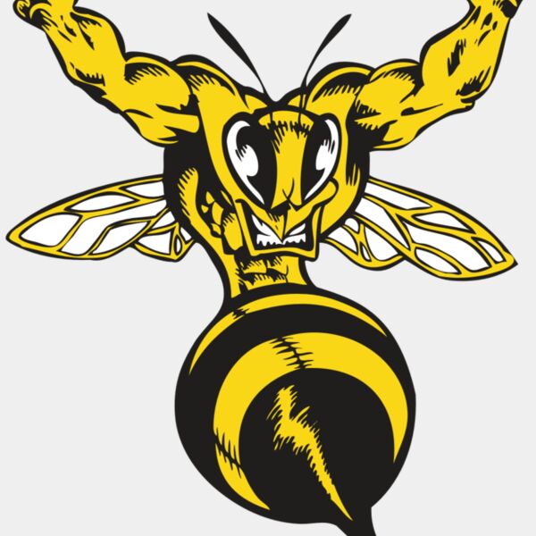 BAW BEE 04 RC Thumbnail