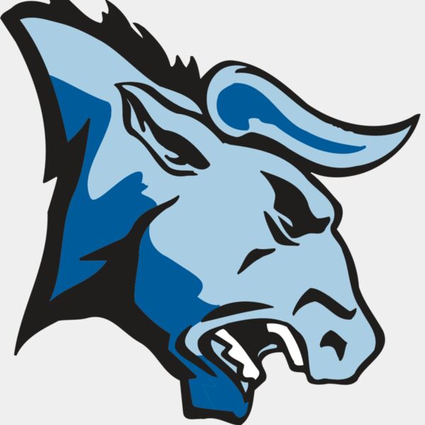 AR BULL 20 RC Thumbnail