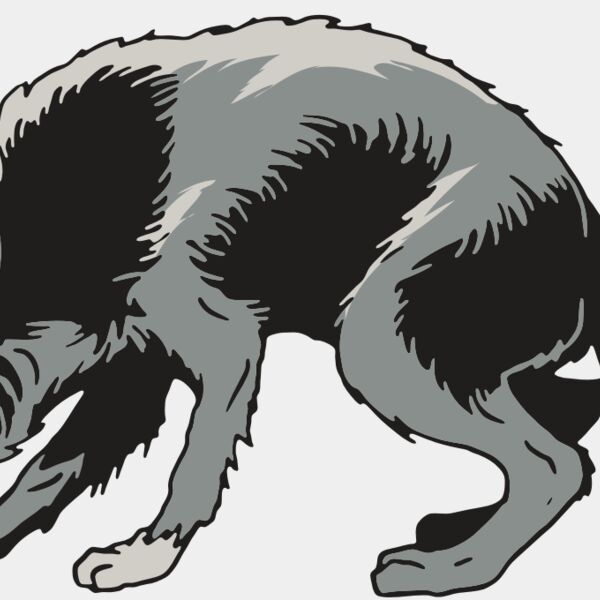 AR32 COYOTE 05 RQC Thumbnail