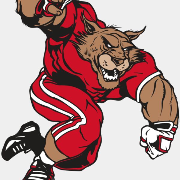 AR WILDCAT 32 RC Thumbnail