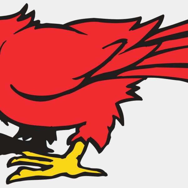 AR CARDINAL 11 RC Thumbnail