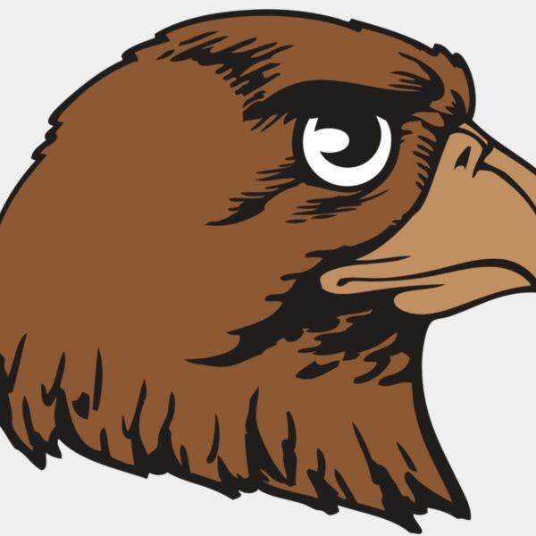 BAW HWK FLCN 05 RC Thumbnail