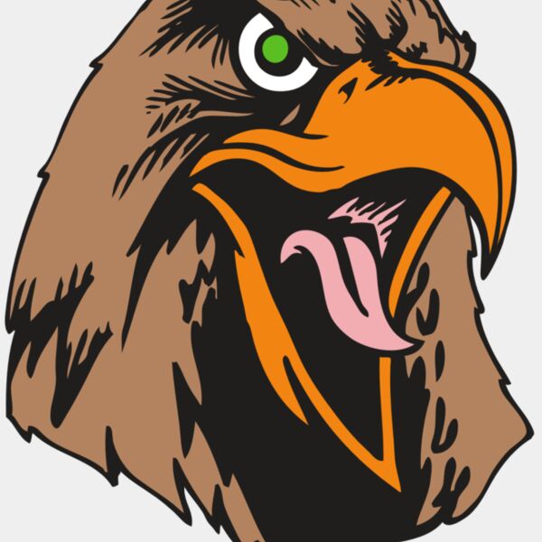 BAW HWK FLCN 01 RC Thumbnail