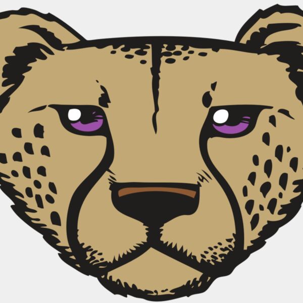 BAW CHEETAH 14 RC Thumbnail