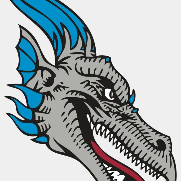 BAW DRAGON 07 RC Thumbnail