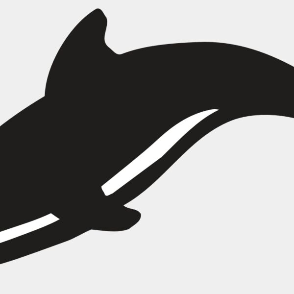 AR DOLPIN 16 RC Thumbnail