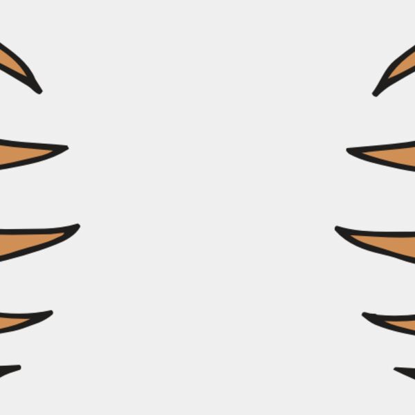 AR BEAR 05 RC Thumbnail