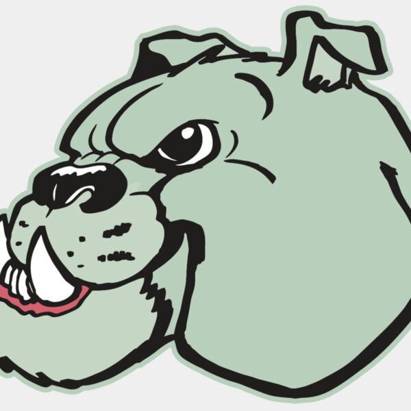 AR BDOG 29 RC Thumbnail