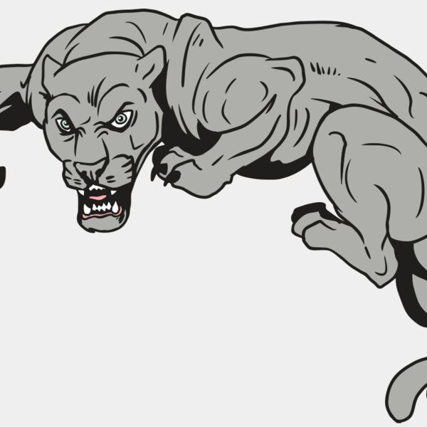 AR10 PANTHER 02 RQC Thumbnail