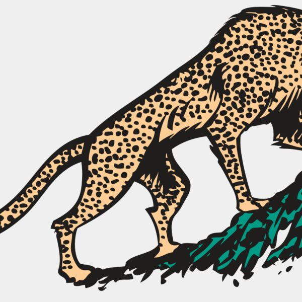 AR CHEETAH 02 RC Thumbnail