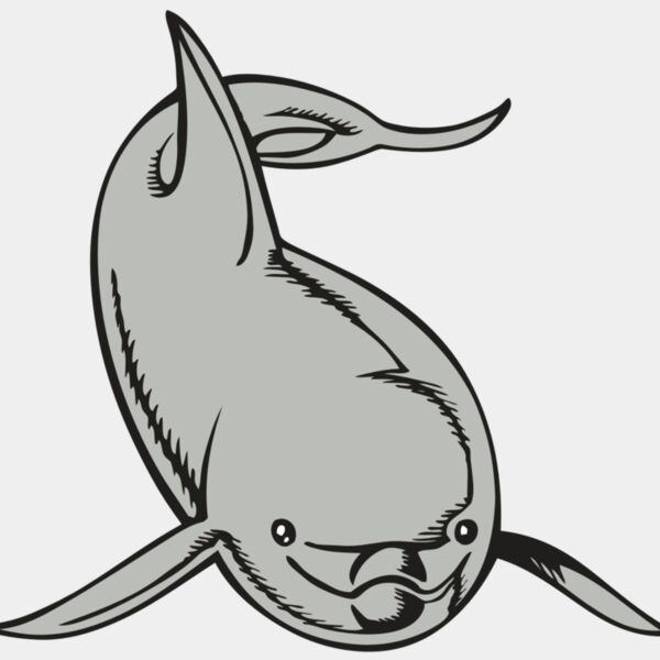 BAW DOLPHIN 02 RC Thumbnail