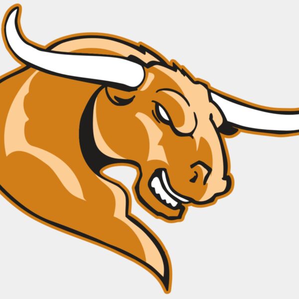 AR BULL 14 RC Thumbnail