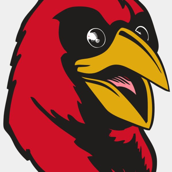 BAW CARDINAL 05 RC Thumbnail