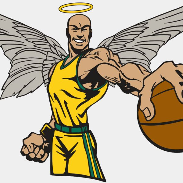 AR17 ANGEL BSKT 06 RQC Thumbnail