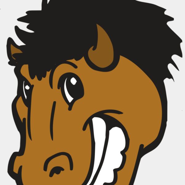 AR BUFFALO 17 RC Thumbnail