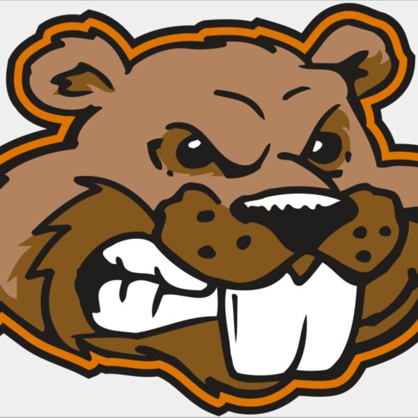 AR BEAVER 11 RC Thumbnail