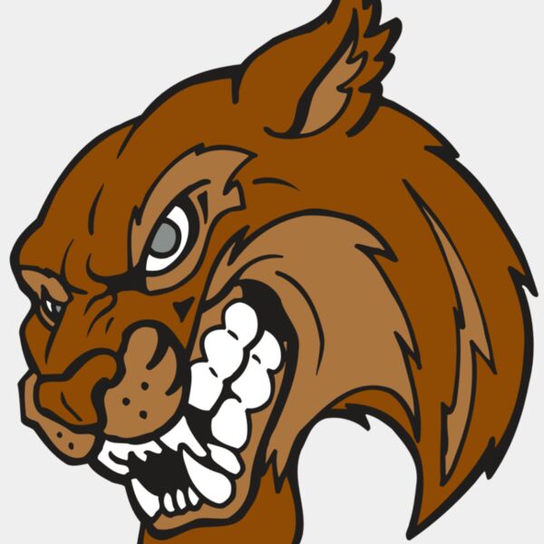 AR5 BOBCAT 07 RQC Thumbnail