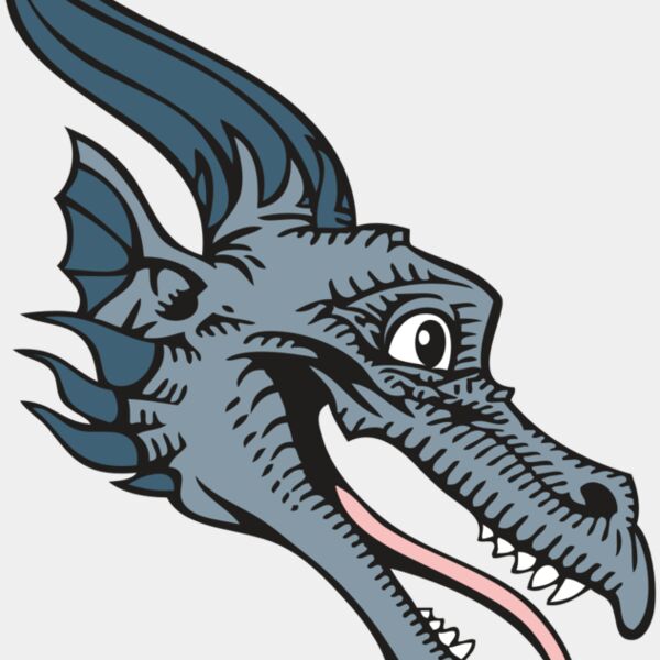 BAW DRAGON 15 RC Thumbnail