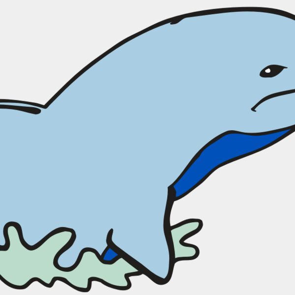 AR DOLPIN 14 RC Thumbnail