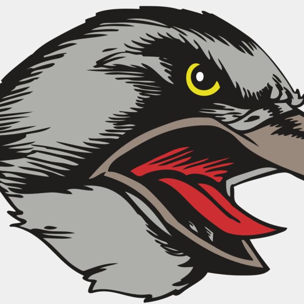 BAW HWK FLCN 13 RC Thumbnail