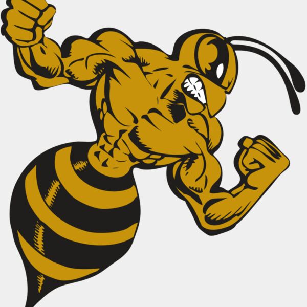 BAW BEE 01 RC Thumbnail