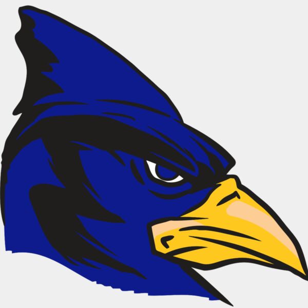 AR13 BLUEJAY 02 RQC Thumbnail