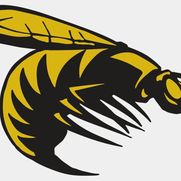 AR BEE 49 RC Thumbnail