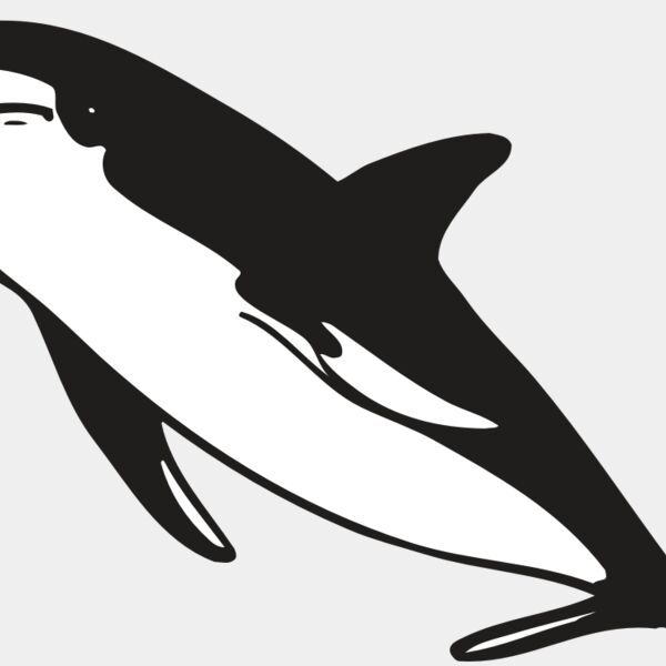 AR DOLPIN 13 RC Thumbnail