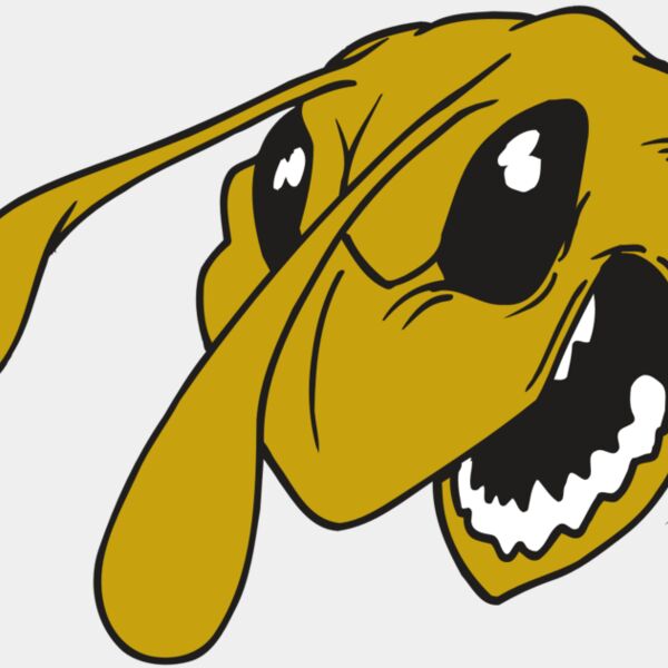 AR5 BEE 26 RQC Thumbnail