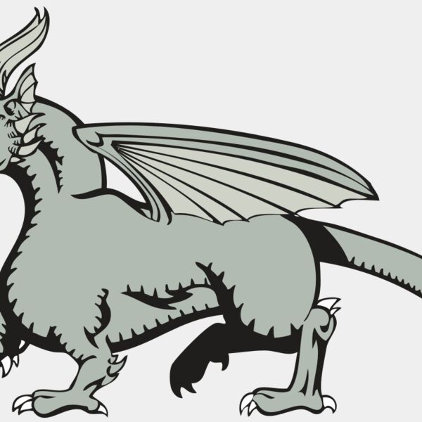 BAW DRAGON 20 RC Thumbnail