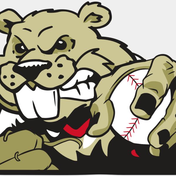 AR4 BEAVER 06 RQC Thumbnail