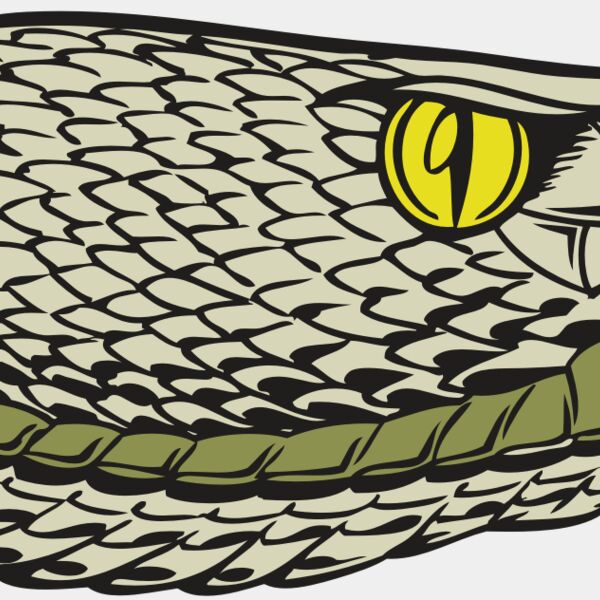 BAW SNAKE 03 RC Thumbnail