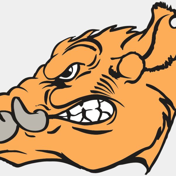 AR RAZORBACK 27 RC Thumbnail