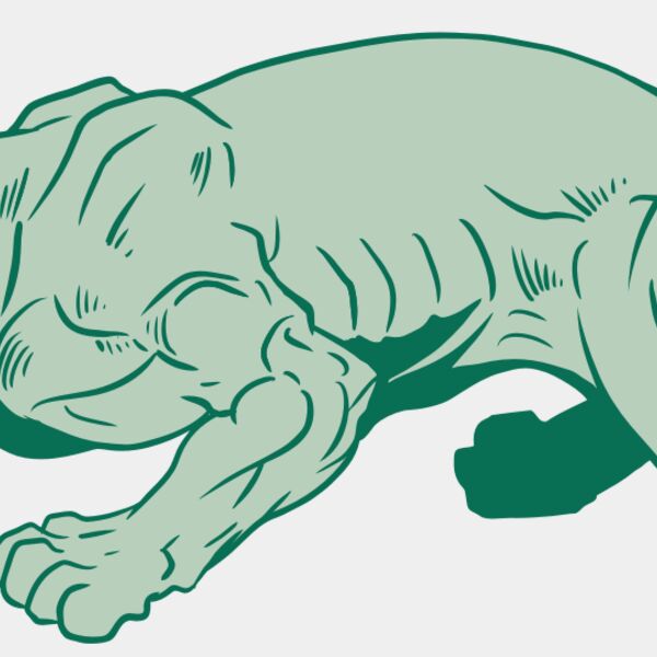 AR10 PANTHER 05 RQC Thumbnail