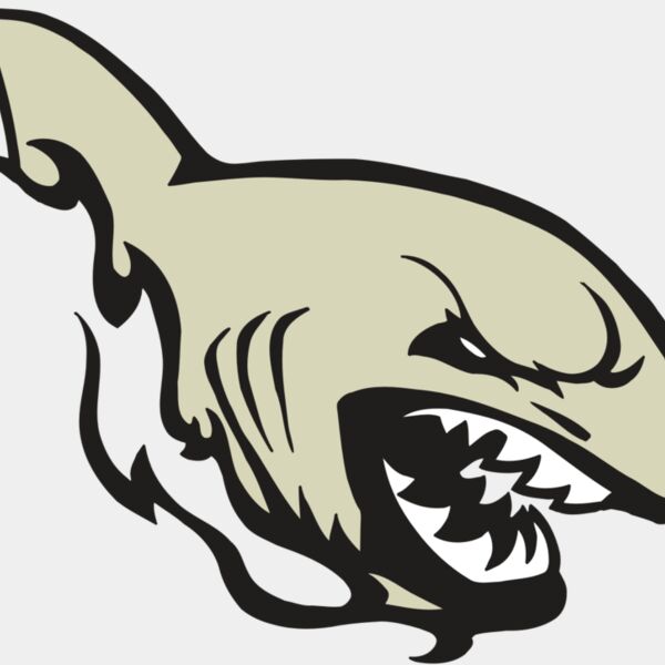 AR5 Shark 08 RQC Thumbnail