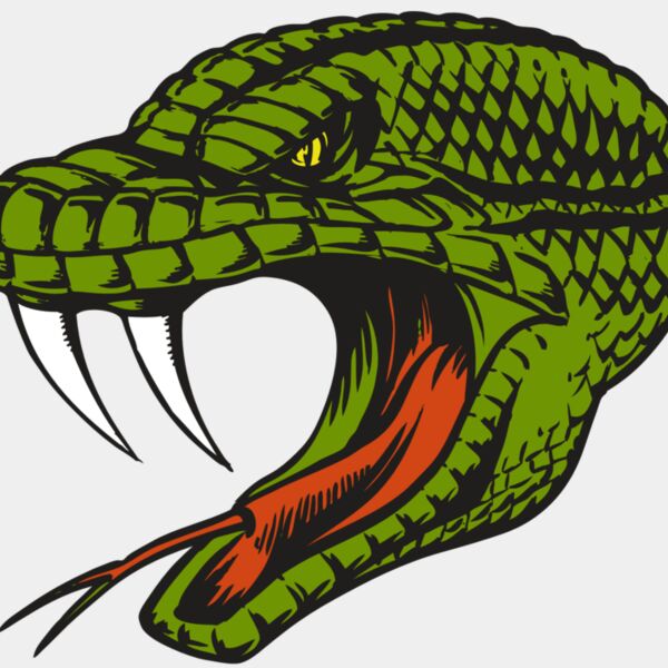 BAW SNAKE 14 RC Thumbnail