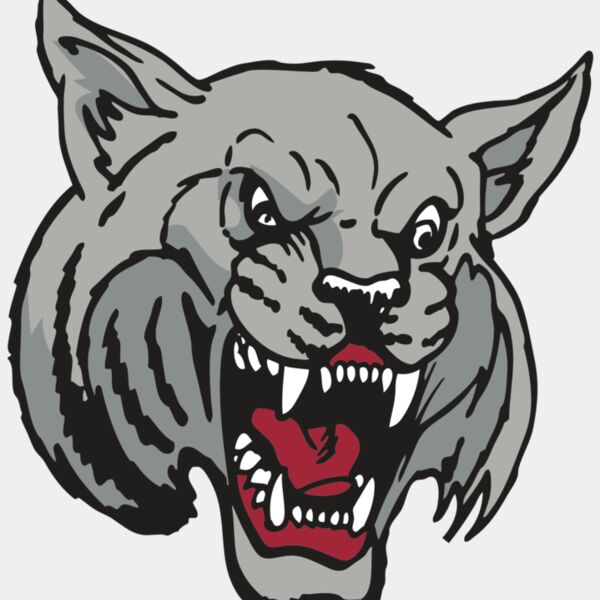 AR WILDCAT 42 RC Thumbnail