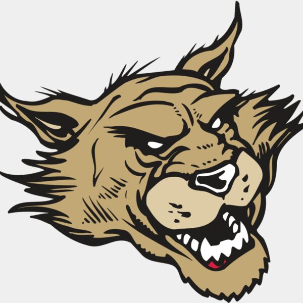 AR WILDCAT 39 RC Thumbnail