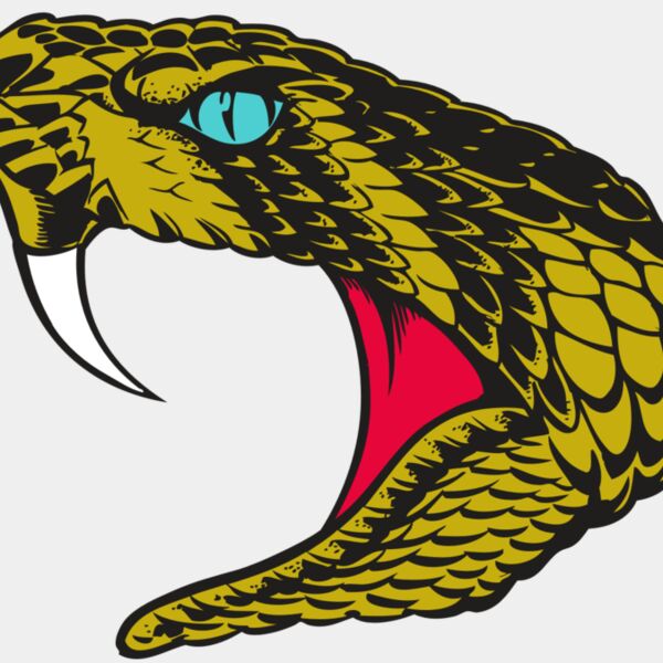 BAW SNAKE 16 RC Thumbnail