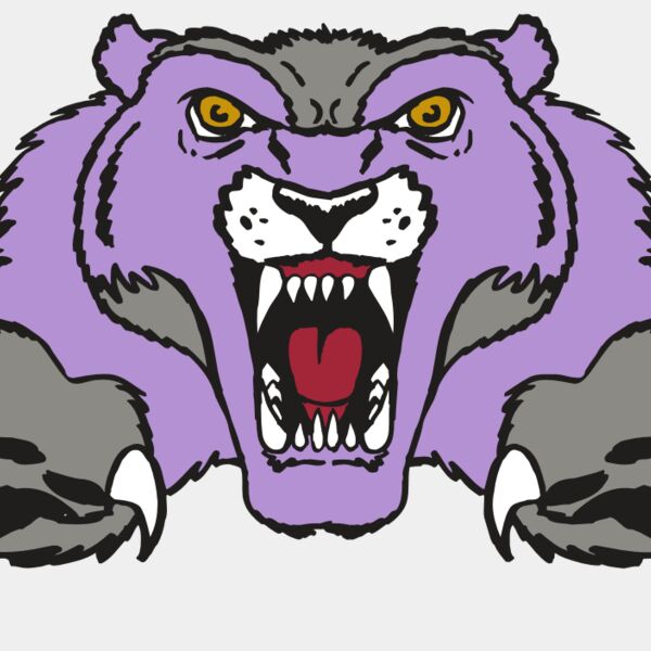 AR WOLVERINE 17 RC Thumbnail