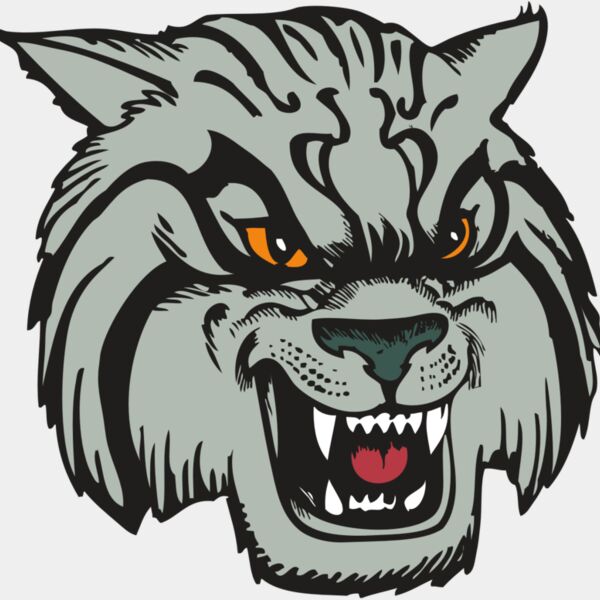 BAW WILDCAT 03 RC Thumbnail