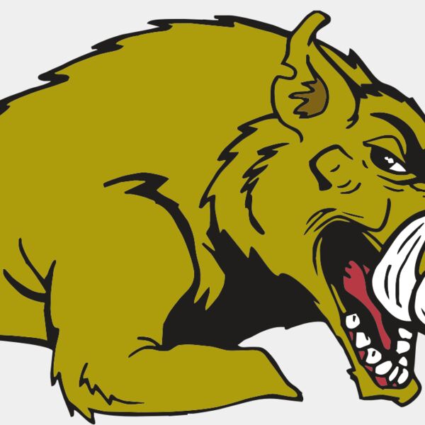 AR RAZORBACK 23 RC Thumbnail