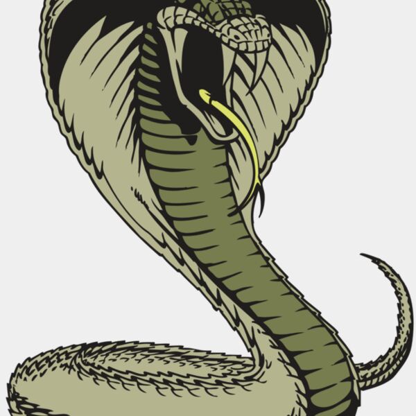 BAW SNAKE 07 RC Thumbnail